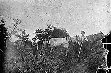 Cotton workers in Mableton, around 1900