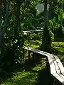 Boardwalk to the Jungle House