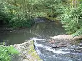 Coul Beck joining the River Leven near Rudby