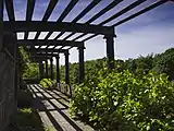 The Pergola