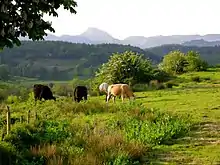 Dromahair, County Leitrim