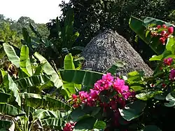 Traditional Huastec hut in the Coyol Ja community, Tancanhuitz Municipality