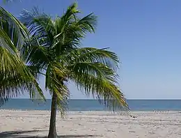 View of the Atlantic Ocean from the beach