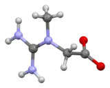 Ball and stick model of creatine