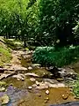 Rocky Brook Creek meanders through Opelika's Municipal Park.