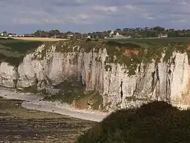 A general view of Criquebeuf-en-Caux