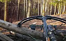 Modern hunting crossbow