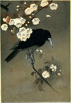 Crow and Blossom, c. 1910