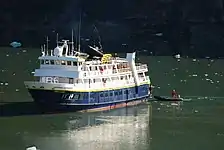 National Geographic Sea Lion in Tracy Arm, Alaska