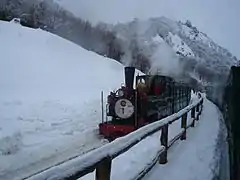 Train in Winter scene, 2008