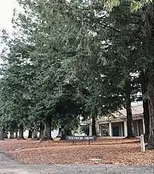 Cuesta College's Founders Grove