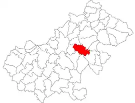 Location in Satu Mare County