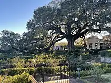 A view of the Cummer Gardens