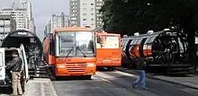 Two articulated buses