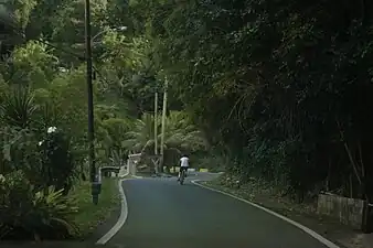 Curvy stretch in Orocovis