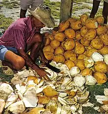 Cutting coconuts Seychelles