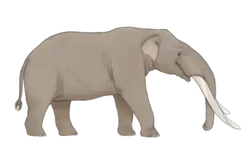 Life restoration