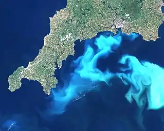 Algae bloom of Emiliania huxleyi off the southern coast of England