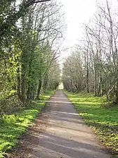 The cycle track passing Nelson