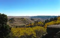 A section of the Cypress Hills