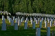 Cypress Hills National Cemetery.