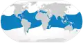 Oceanic whitetip shark geographic range