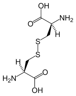 Cystine, an important Amino Acid