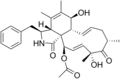 Cytochalasin C