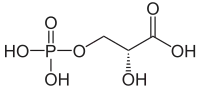 Skeletal structure of 3-Phosphoglyceric acid