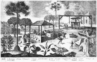 Image 29A sugar mill in Haiti (L'Homme et la Terre by Élisée Reclus, 1830–1905) (from History of Haiti)