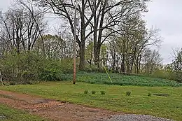 Photo shows a low hill with trees and a telephone pole.