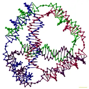 A model of a designed DNA tetrahedron.