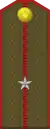 Junior Lieutenant