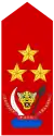 Lieutenant-général(Land Forces of the DR Congo)