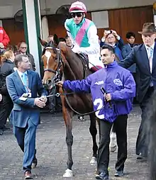 Enable - Turf