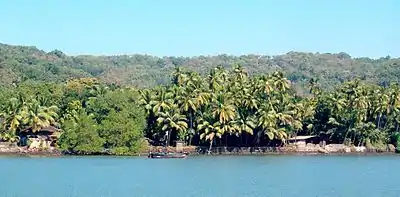 Dabhol in Ratnagiri district, Konkan division, Maharashtra State. Beaches dotted with swaying coconut palms are a ubiquitous sight along the Konkani coast.