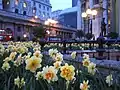 Daffodils at Bank station, London in low light(IXUS 40)