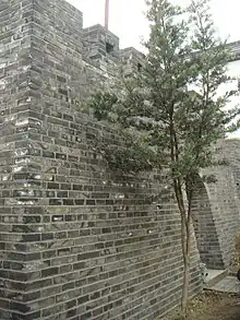 Dajing Ge wall