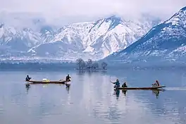 Shikaras on Dal Lake