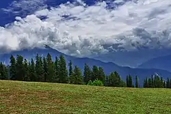 Dana Meadows, Kaghan Valley