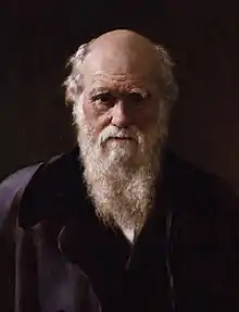 Portrait of Charles Darwin