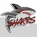 Second Proposed Dayton Sharks Logo