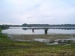 "De Banen", a lake in the nature area "Sarsven en De Banen", near Nederweert