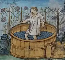 Image 2In ancient times, berries were crushed by foot in a barrel or pit. (from Winemaking)