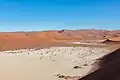 General view of Deadvlei.