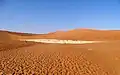 Deadvlei early in the morning before most visitors start arriving.