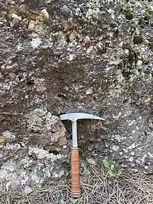 A poorly-sorted, clast-supported, pebble-to-cobble, quartzic conglomerate sits on a bed of pine needles, with a rock hammer propped in front for scale. Section shows the typical Deadwood Fm coloring of pinkish-red.