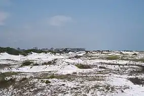 South Walton contains many neighborhoods nestled in sugary-white sand dunes.