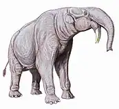 Deinotherium was a widespread Afro-Eurasian relative of elephants, with downward-curving tusks.