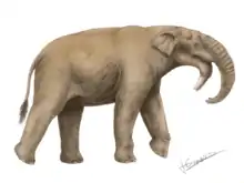 Life restoration of Deinotherium bozasi